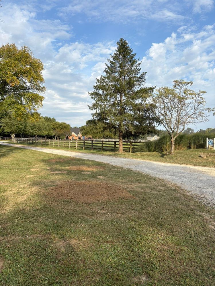 All Photos for Dig-It Tree Company in , 