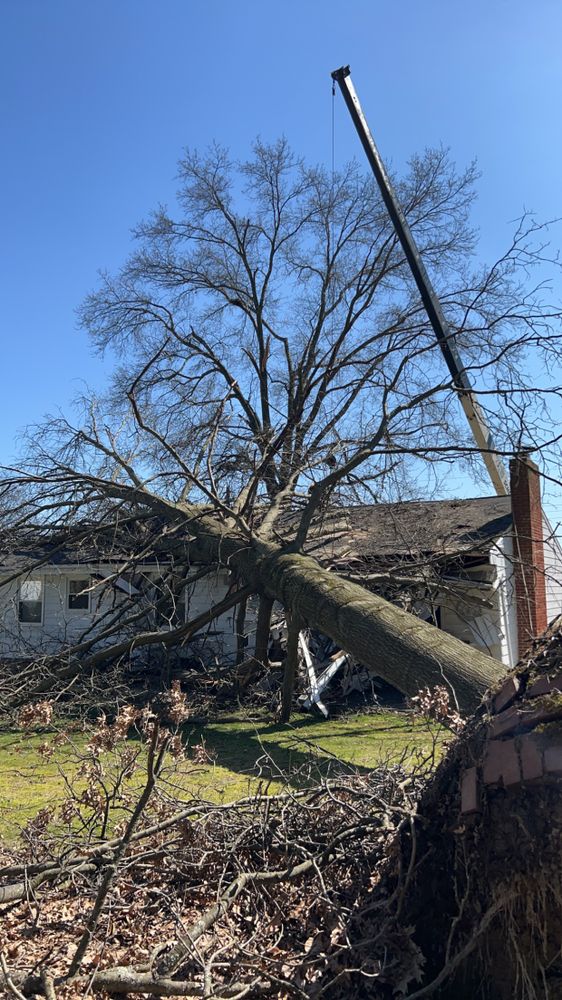 Emergency services  for JJ Tree Service in Gibsonia, PA