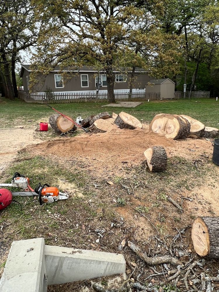 Our expert stump removal service efficiently eliminates unwanted tree stumps, enhancing your landscape's aesthetic and preventing potential hazards, while freeing up valuable space for new planting or outdoor features. for Imber’s Tree Service LLC in Arlington, TX