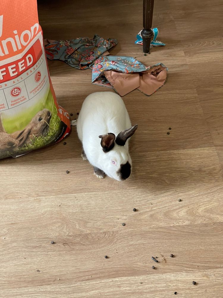 All Photos for Mr. Pipe Dreams LLC in Colorado Springs, CO