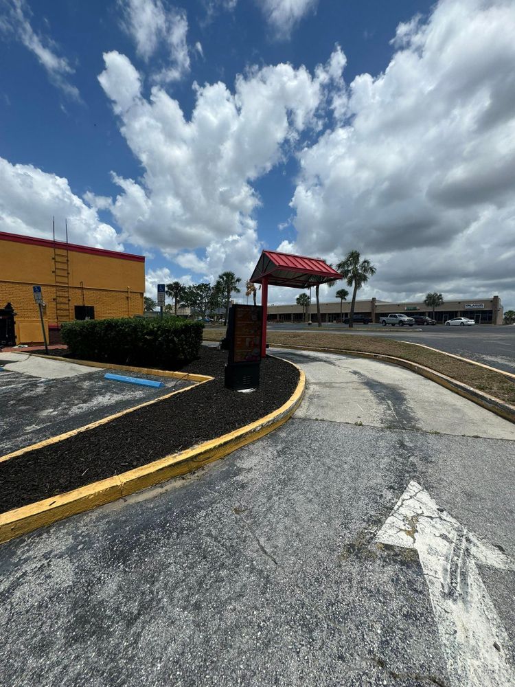 All Photos for Native Land Management in Lakeland, FL