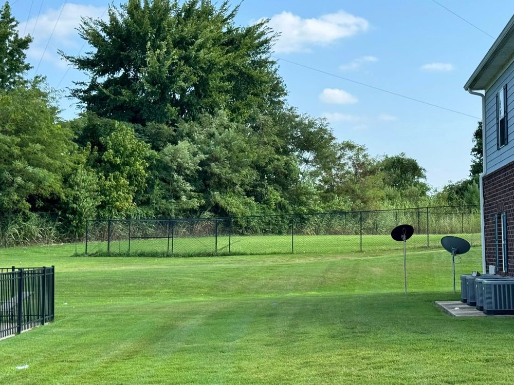 Lawn Care for Apex Lawn & Landscaping INC in Dyersburg, TN