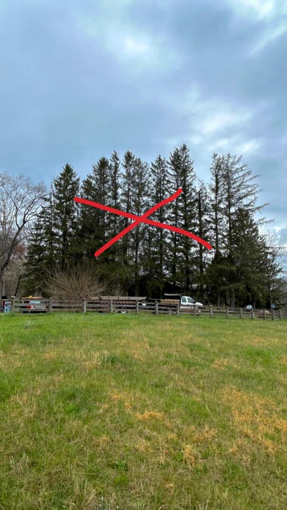 All Photos for NRV Tree Pro, LLC in Narrows, VA