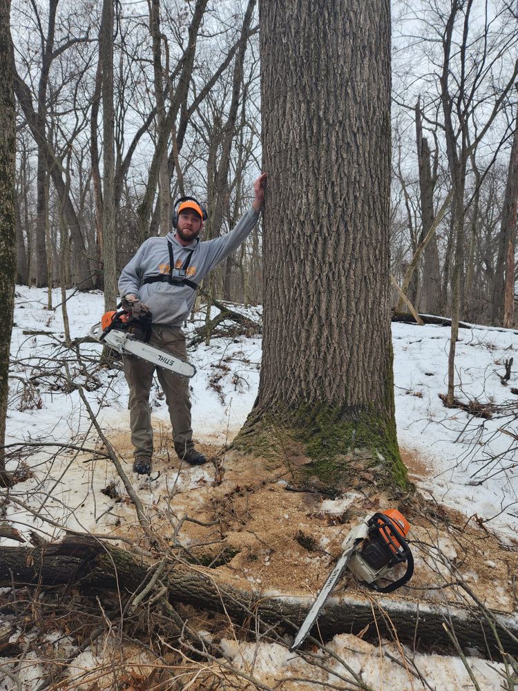 Logging for Pure Iowa Logging in Cedar Rapids, Iowa