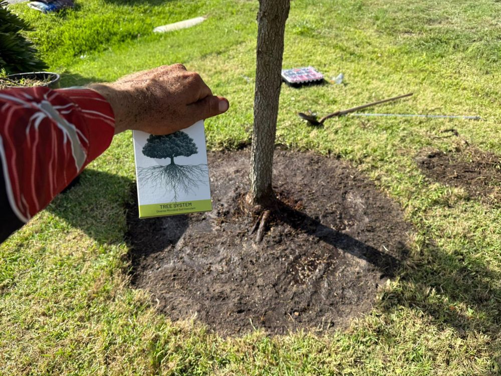 All Photos for MX Trees in Englewood, FL