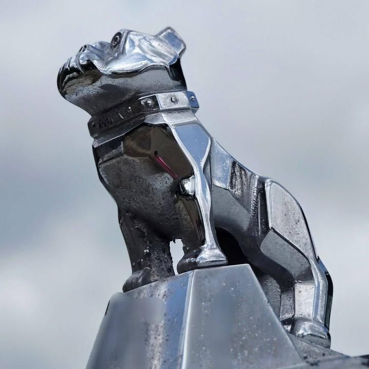 All Photos for Select Concrete Company LLC in Monticello, AR