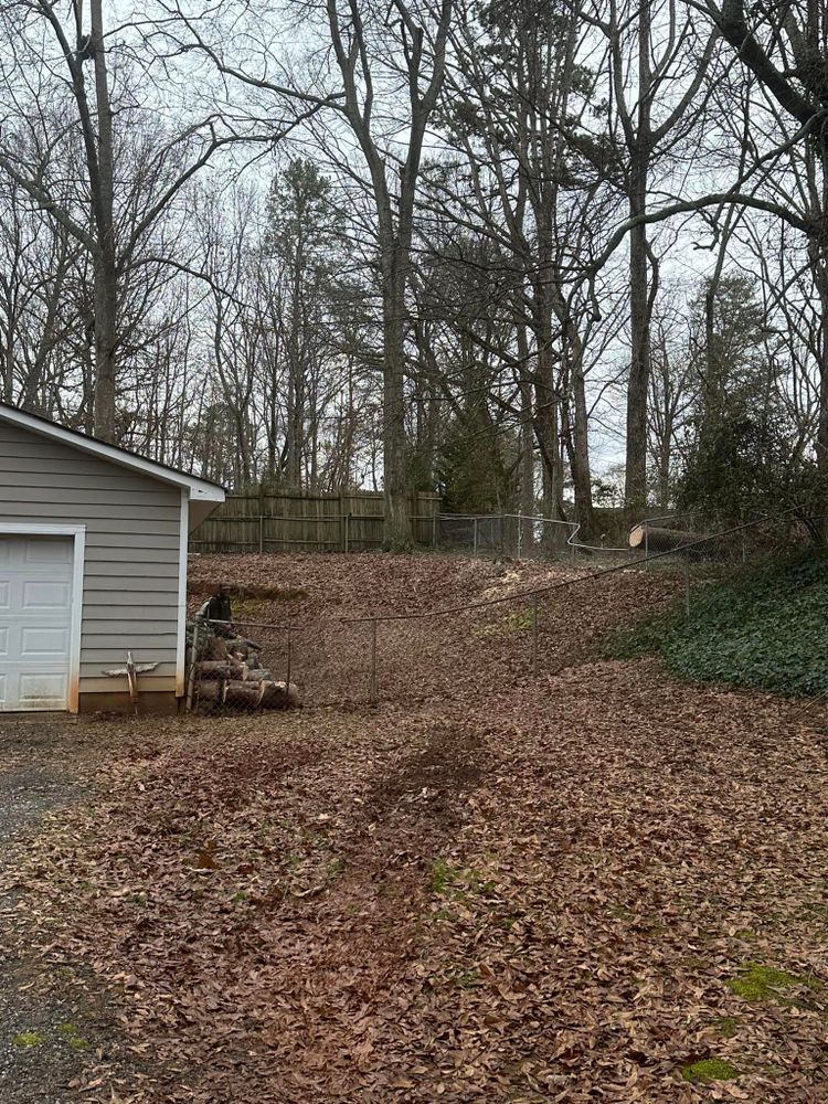 Tree Removal for Moore’s Tree Service in Chesnee, SC