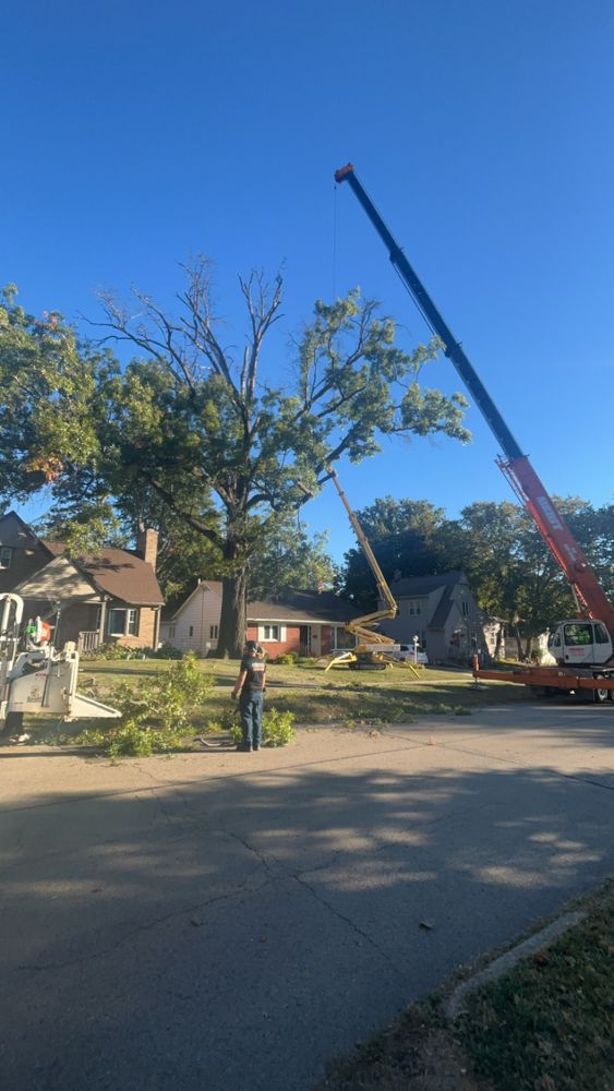 Tree jobs for Fransen's Tree Service  in Freeport, IL