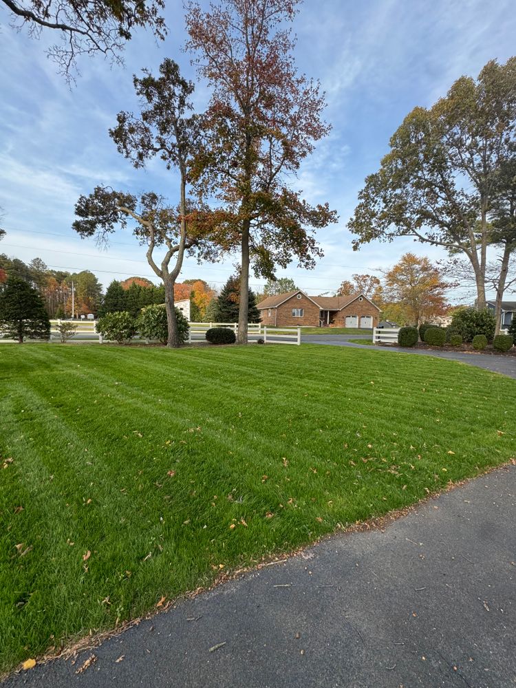 Enhance your lawn's health and beauty with our expert fertilization and weed control service, ensuring lush, vibrant grass while effectively eliminating unwanted weeds for a pristine outdoor space you’ll love. for Solid Ground Outdoor Living Solutions in Seaford, DE