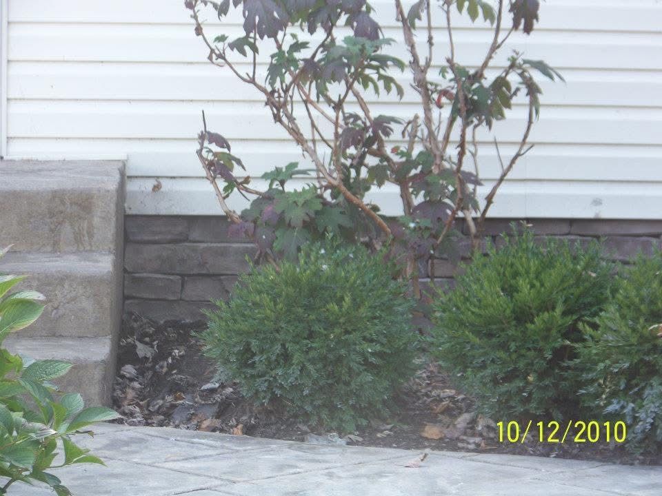 All Photos for My Guy Handyman Service in Newark, OH