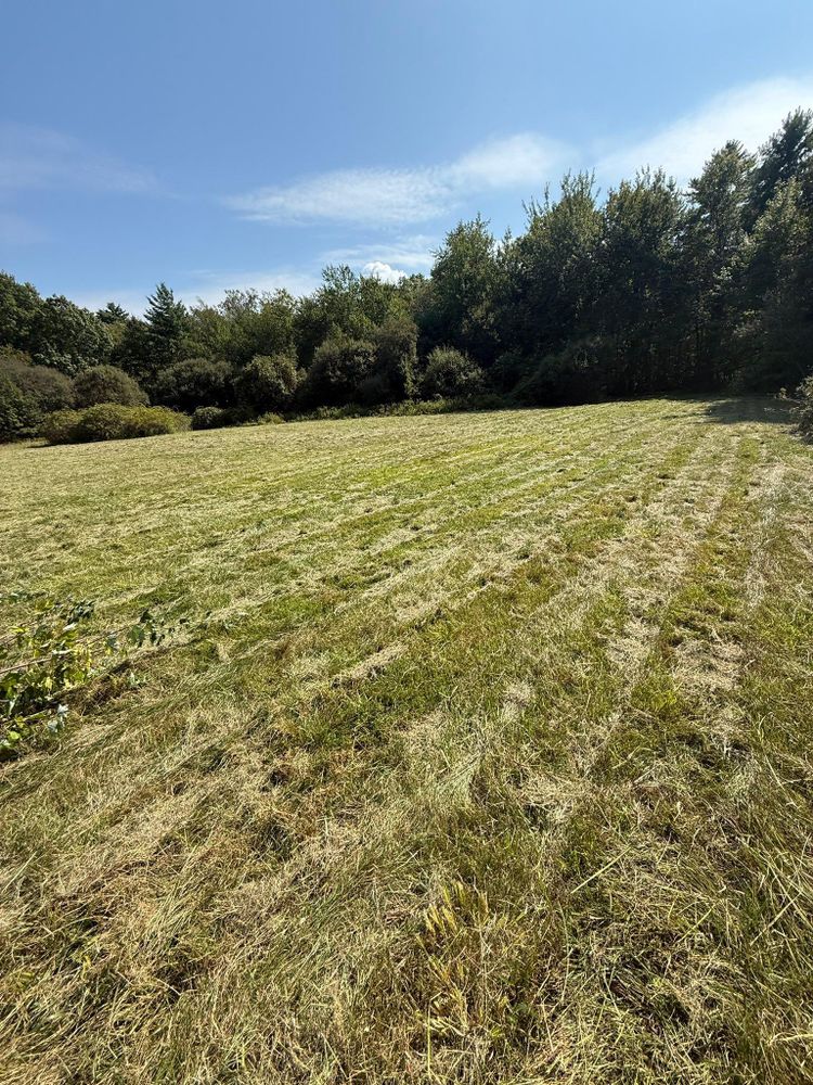 All Photos for Lucas Property Maintenance LLC in New Bedford, MA