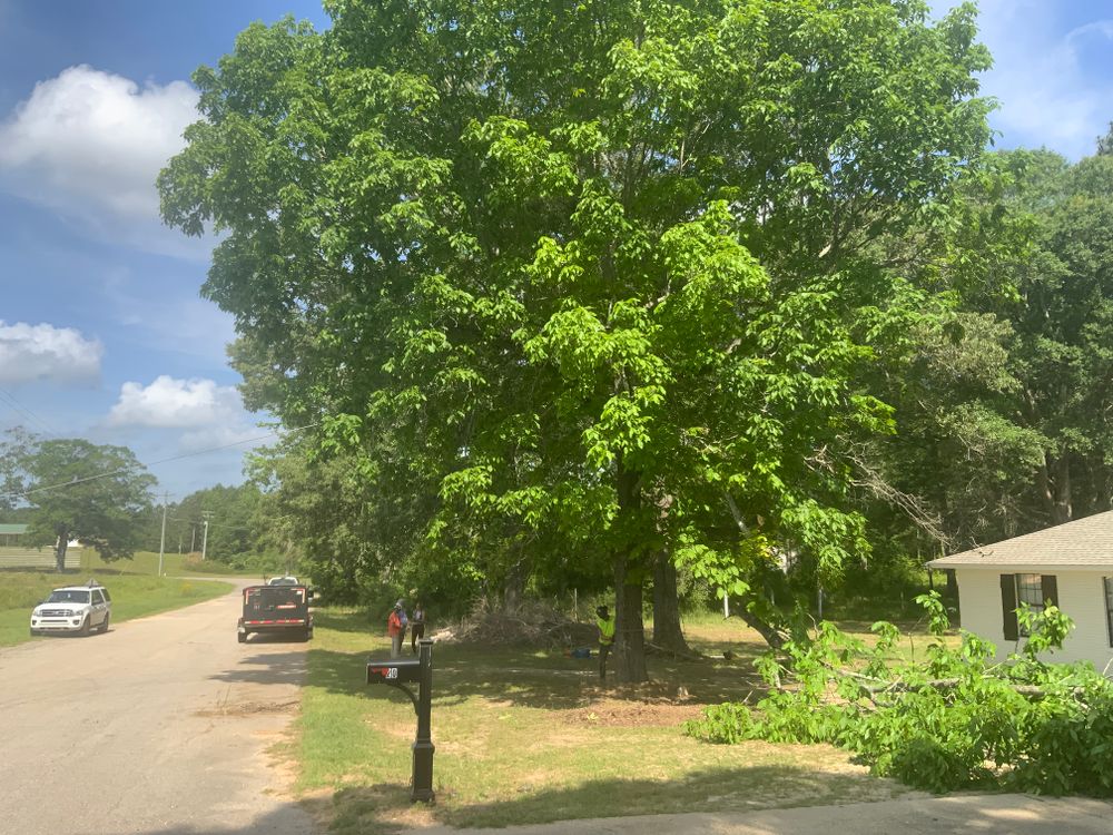 All Photos for Broadway & McMullen Construction in Hattiesburg, MS