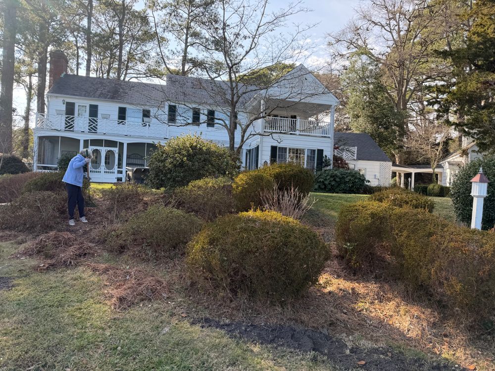 All Photos for Tidewater Tree Service in Chesapeake, VA