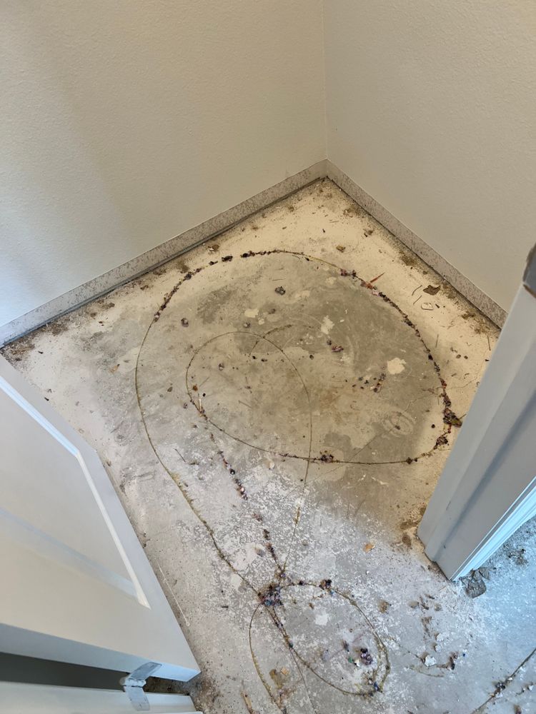 All Photos for FORTZA GC in Dallas, TX