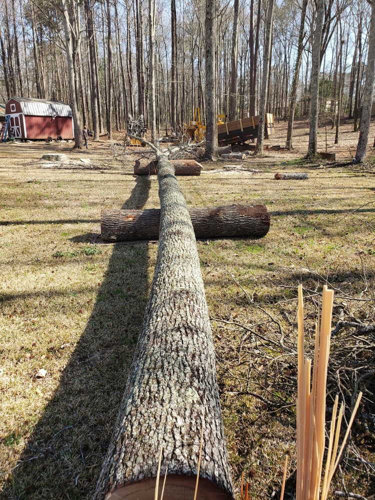 Tree Removal for ArborMax in Thomaston, GA