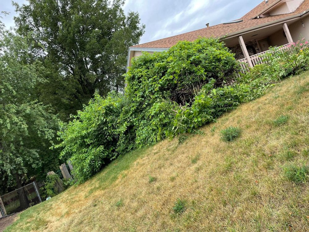 All Photos for Cena Landscaping in Rockford, IL