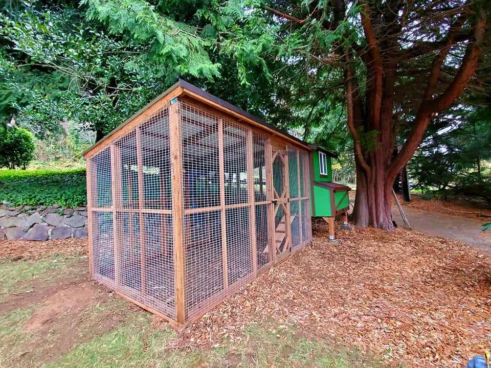 Our Chicken Coop Installation service provides custom design, construction, delivery and installation of the perfect coop for your yard. for Red River Landscape & Design in Sealy,  TX