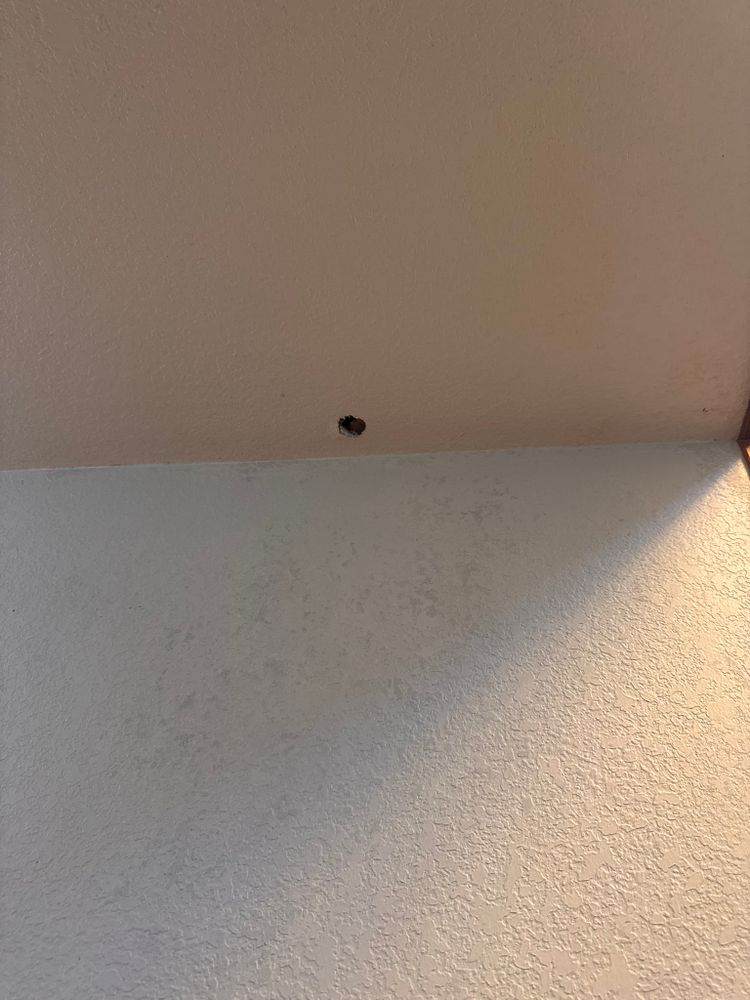 All Photos for Tony's Remodeling & Painting in Renton, WA