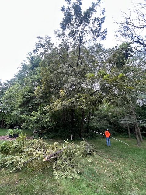 All Photos for Cross Family Tree Service in Kearney, MO