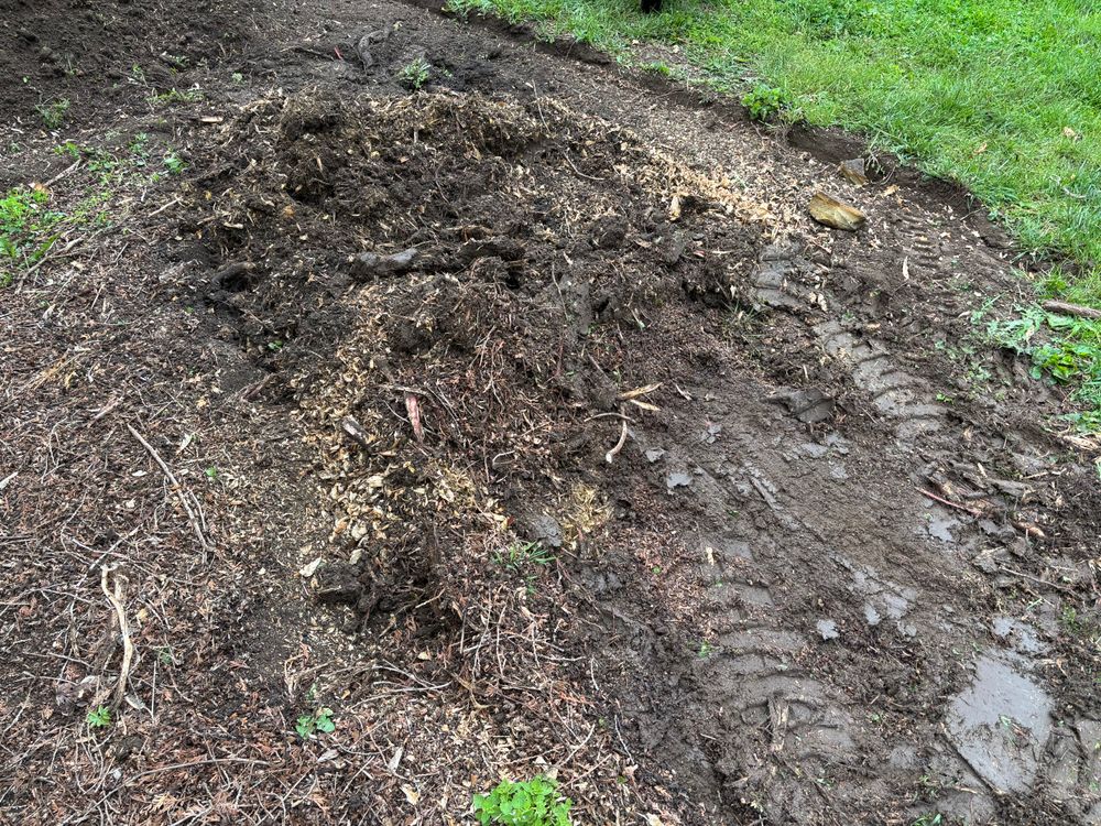 All Photos for Conrad's Stump Removal in Columbus, IN
