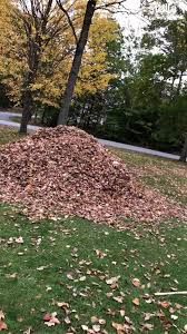 Our Leaf Removal service ensures a pristine lawn by efficiently collecting and disposing of fallen leaves, enhancing curb appeal and contributing to the overall health of your landscape. for Absolute Lawn Solutions LLC in Sutherland, VA