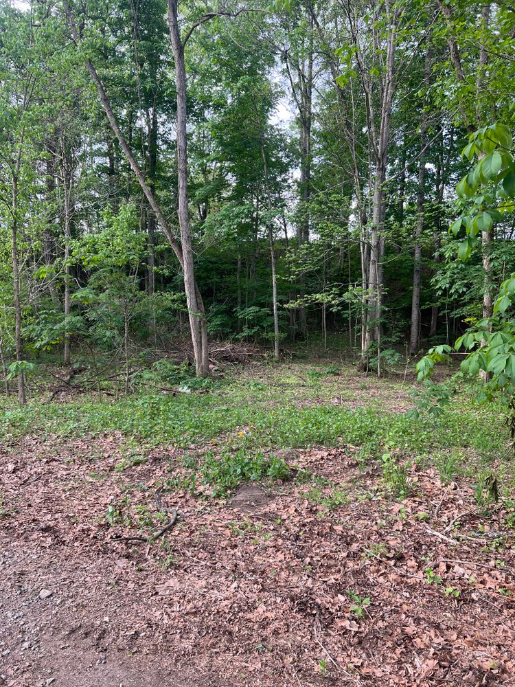 All Photos for Clarke Excavation Co. in Covington, VA