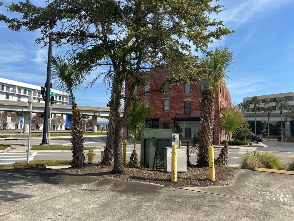 All Photos for All of the Above Landscaping in Orange Park, FL