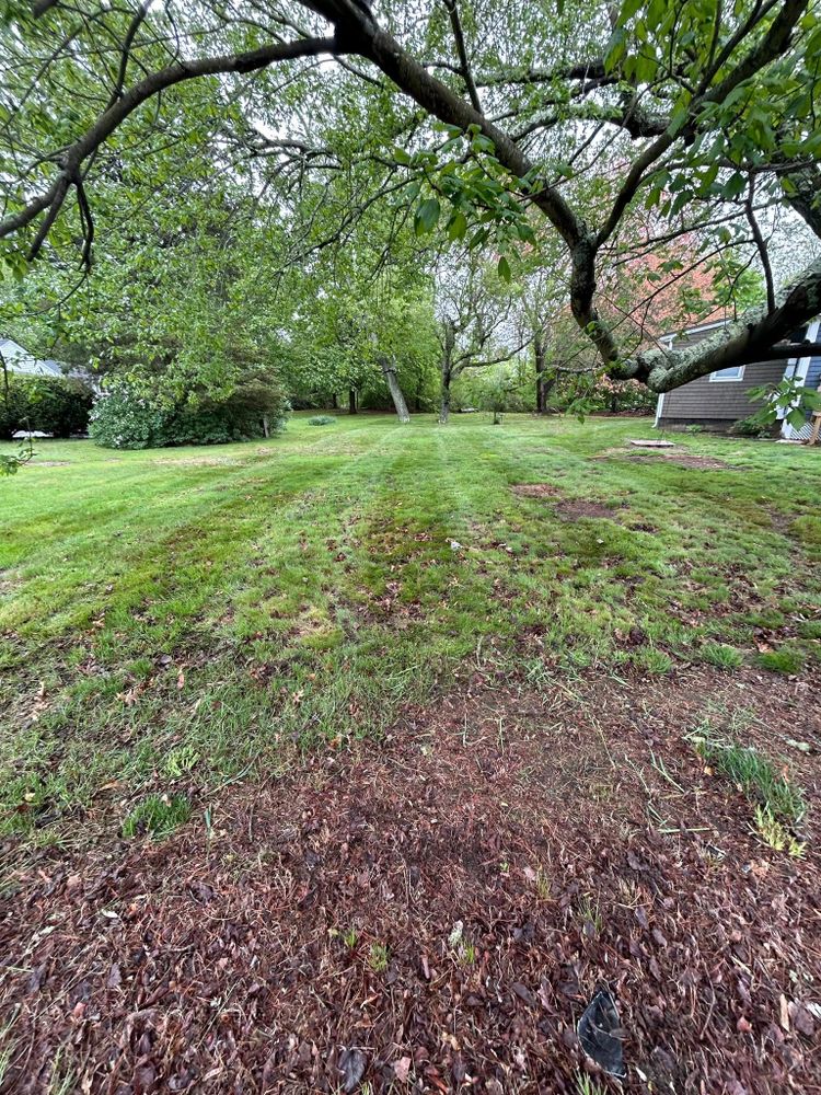 All Photos for Lucas Property Maintenance LLC in New Bedford, MA