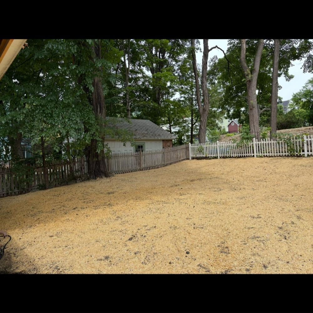 Lawn Maintenance for LJ Lawn & Property Maintenance, Inc. in Cold Spring, New York