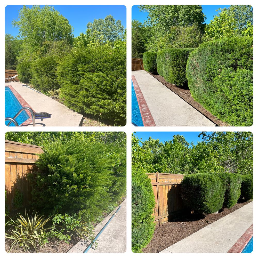 All Photos for Bellevue Lawn and Landscaping in Bellevue,  TN