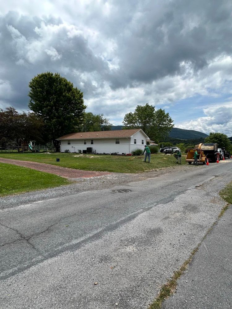 All Photos for NRV Tree Pro, LLC in Narrows, VA