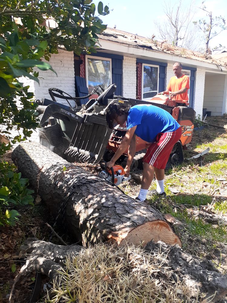 All Photos for Professional Tree Service USA in Chattanooga, TN