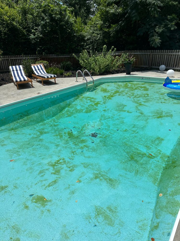 All Photos for Pool Services of Wilmington in Wilmington, NC