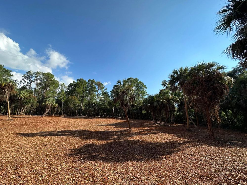All Photos for McLeran in Naples, FL