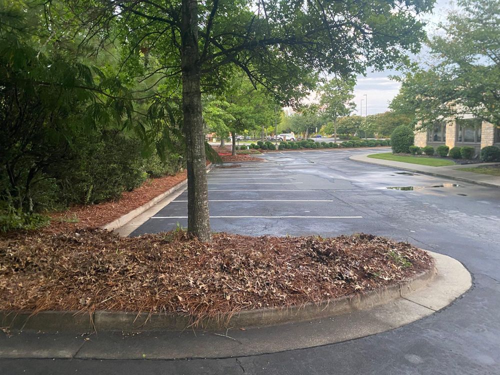All Photos for Georgia Pro Scapes in Cumming, Georgia