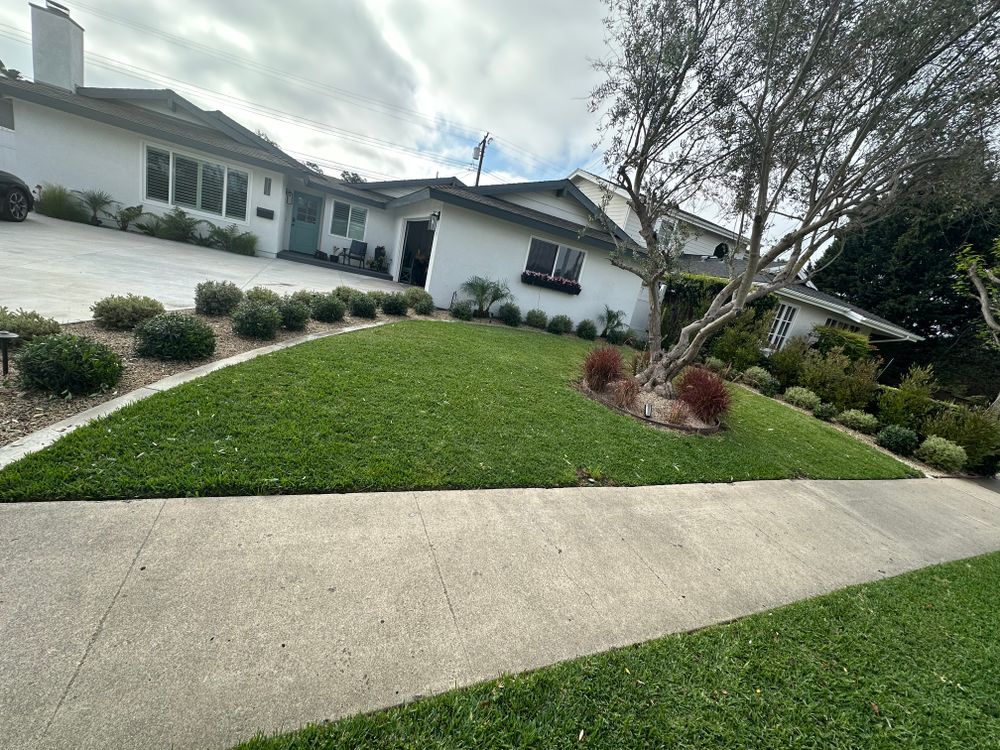 All Photos for Benito's Gardening and Tree Service  in San Juan Capistrano, CA