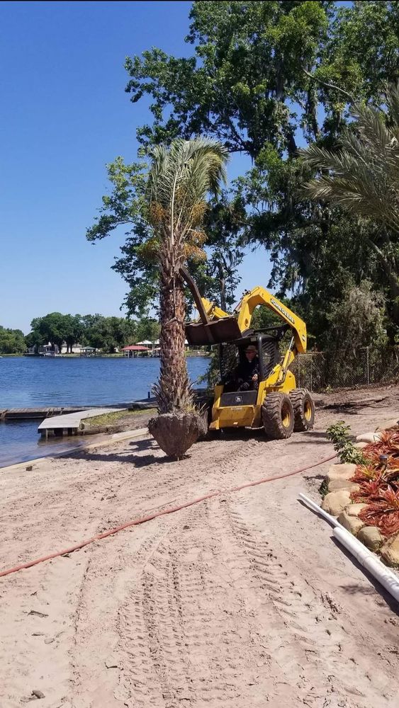 Landscaping for Tezna Landscaping, Trees & Pavers in Valrico, FL