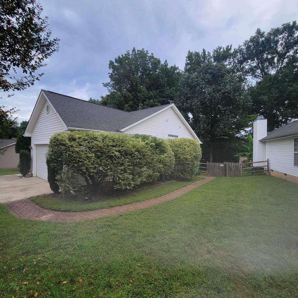 All Photos for Stem Tree Service in Belmont, NC