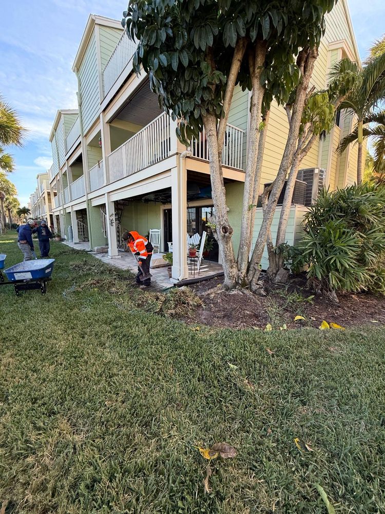 Fall Clean Up for AGT Landscape & Design LLC. in Saint Petersburg, FL