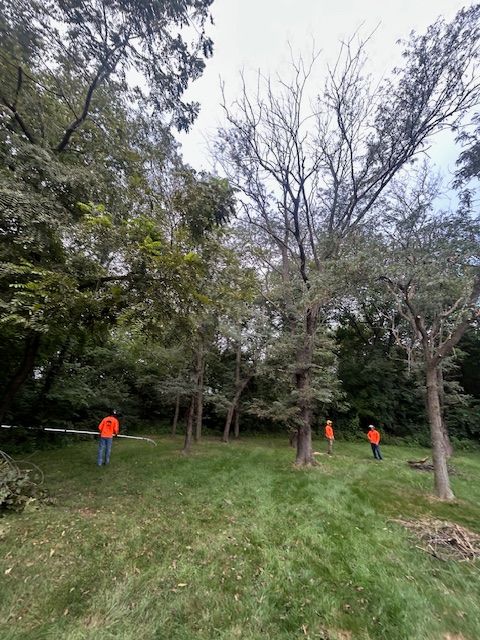 All Photos for Cross Family Tree Service in Kearney, MO
