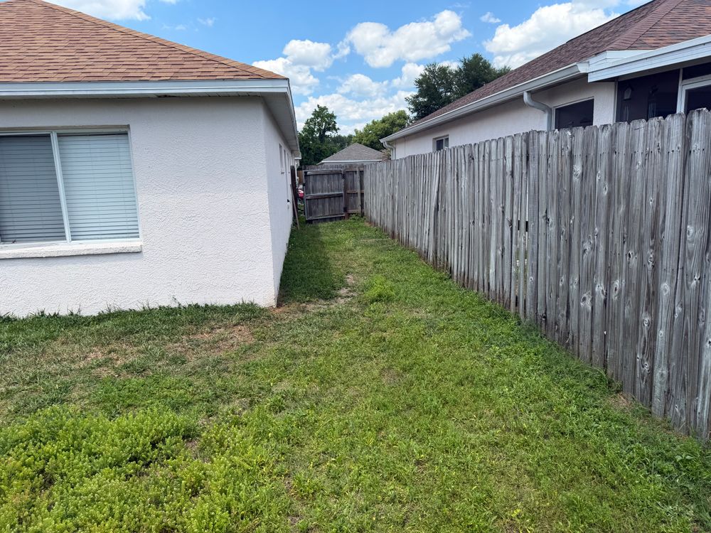 All Photos for The Yardman in Tampa, FL