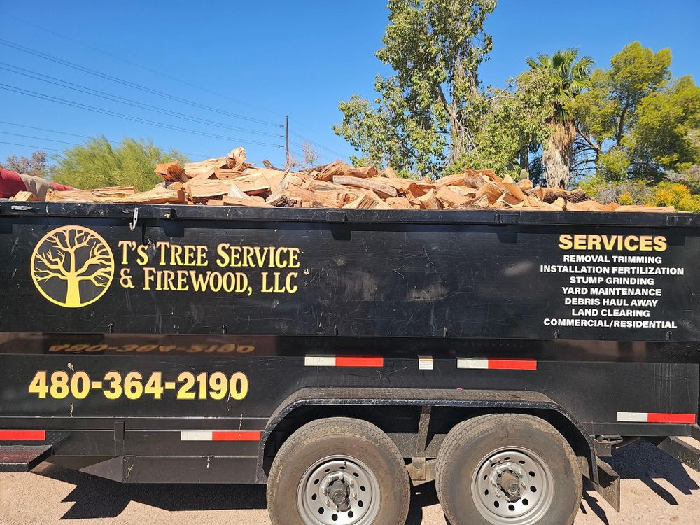 All Photos for T's Tree Service and Firewood in Apache Junction, AZ