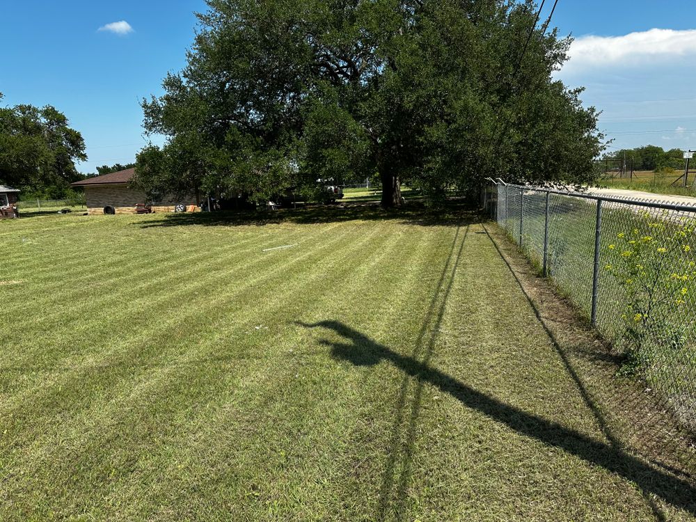 All Photos for Scalpel Lawn Service in Temple, TX