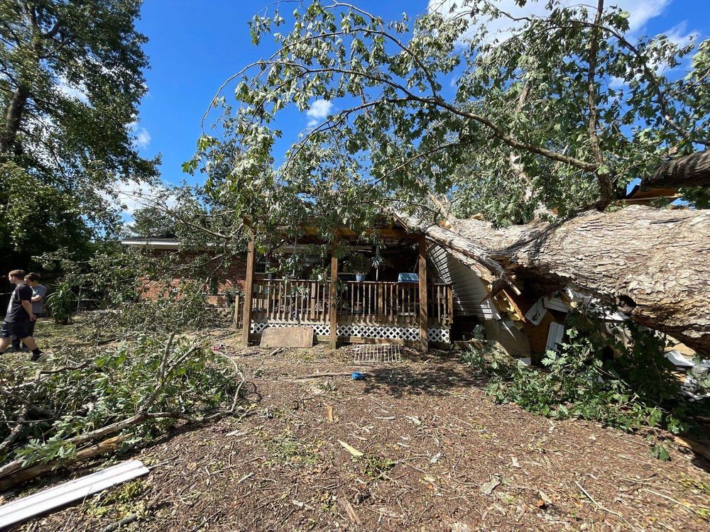 All Photos for Bulldawg Disaster Response in Atlanta, GA