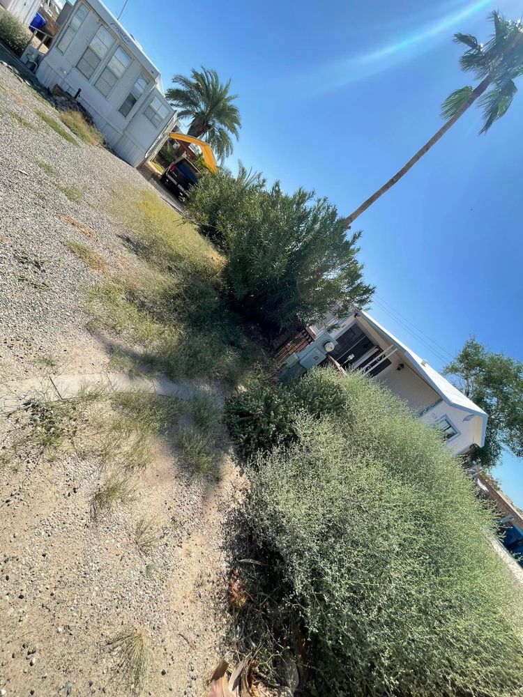 All Photos for Oliver L. Palm & Tree services in Yuma County, AZ