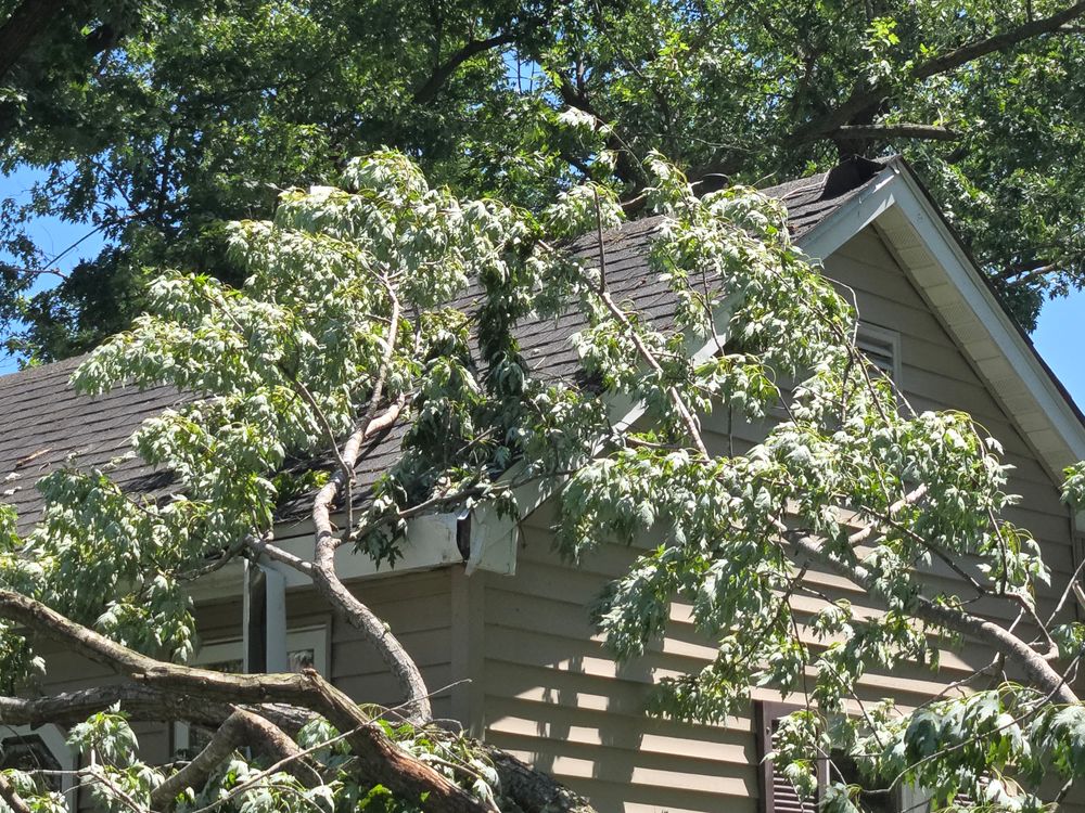 All Photos for Lawn Ranger Yard And Tree Service LLC in Ottumwa, IA