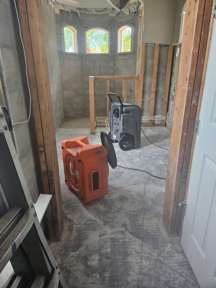 Mold Remediation for N&D Restoration Services When Disaster Attacks, We Come In in Cape Coral,  FL