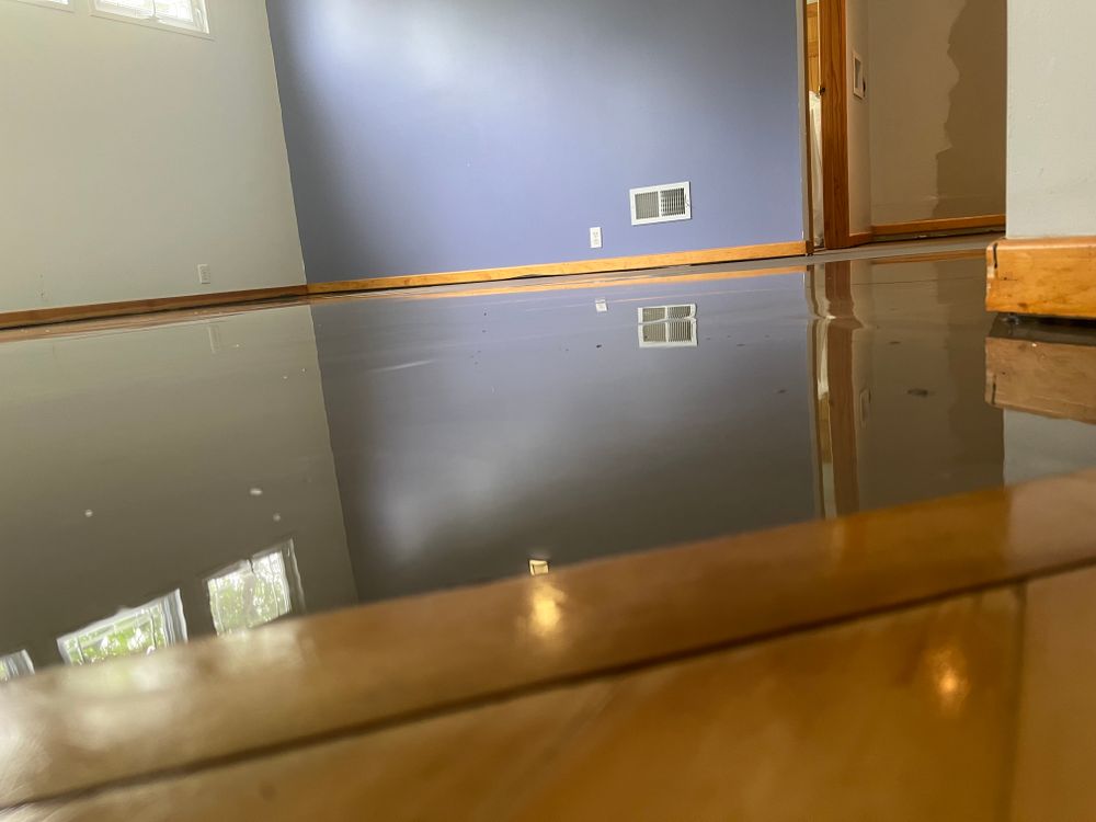 All Photos for Dib 896 Flooring in Dearborn Heights, MI