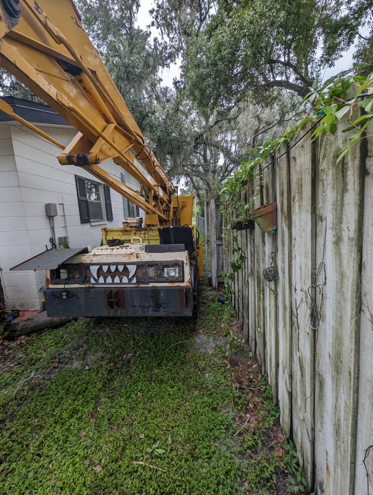 All Photos for Regal Tree Service and Stump Grinding in Wauchula, FL