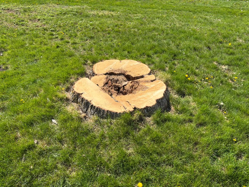All Photos for Conrad's Stump Removal in Columbus, IN
